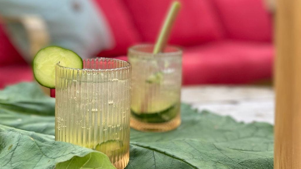 gin tonic concombre et rhubarbe